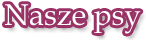 nasze psy