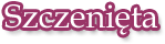 szczenieta
